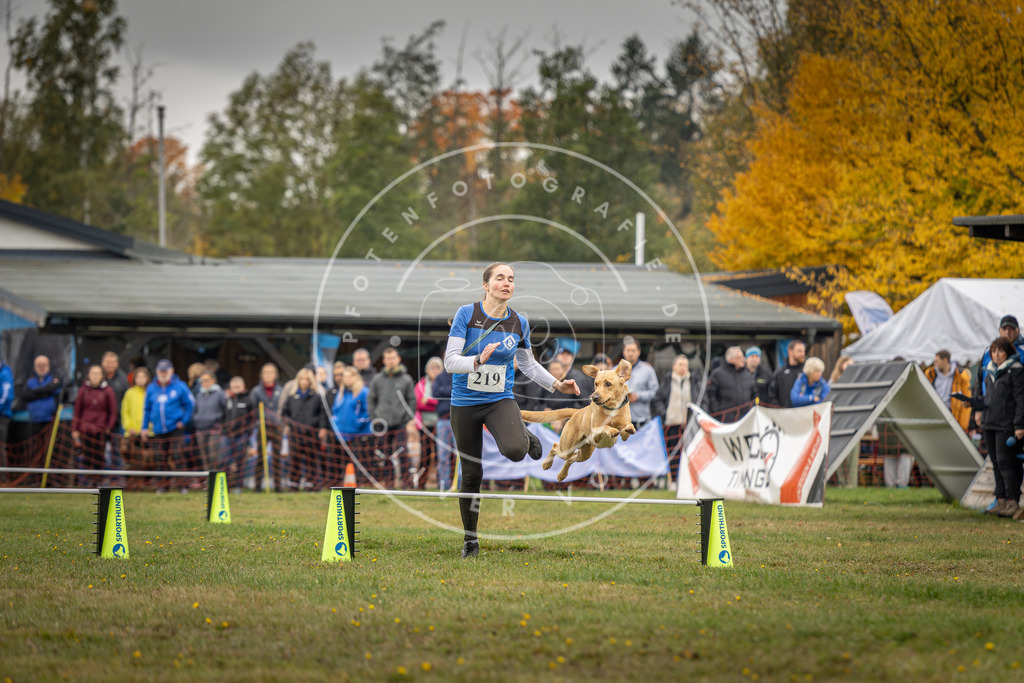 Pfotenfotografie_DV3A3014 | Hundefotografie, Tierfotograf, Pfotenfotografie, Fotoshooting Hund, Hunde Portrait, Hundesport, Hundeportraits, Heideshooting, Hunde, Sportfotograf, Hundefotograf, Turnierhundsport, THS,  - Realisiert mit Pictrs.com