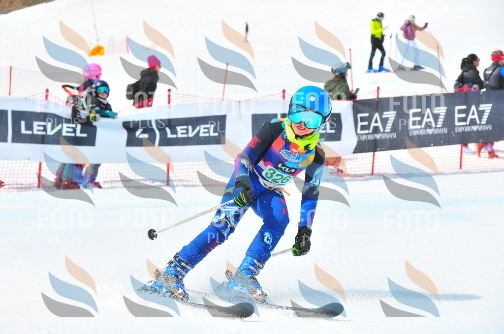 DSC_2995 | holidayphoto