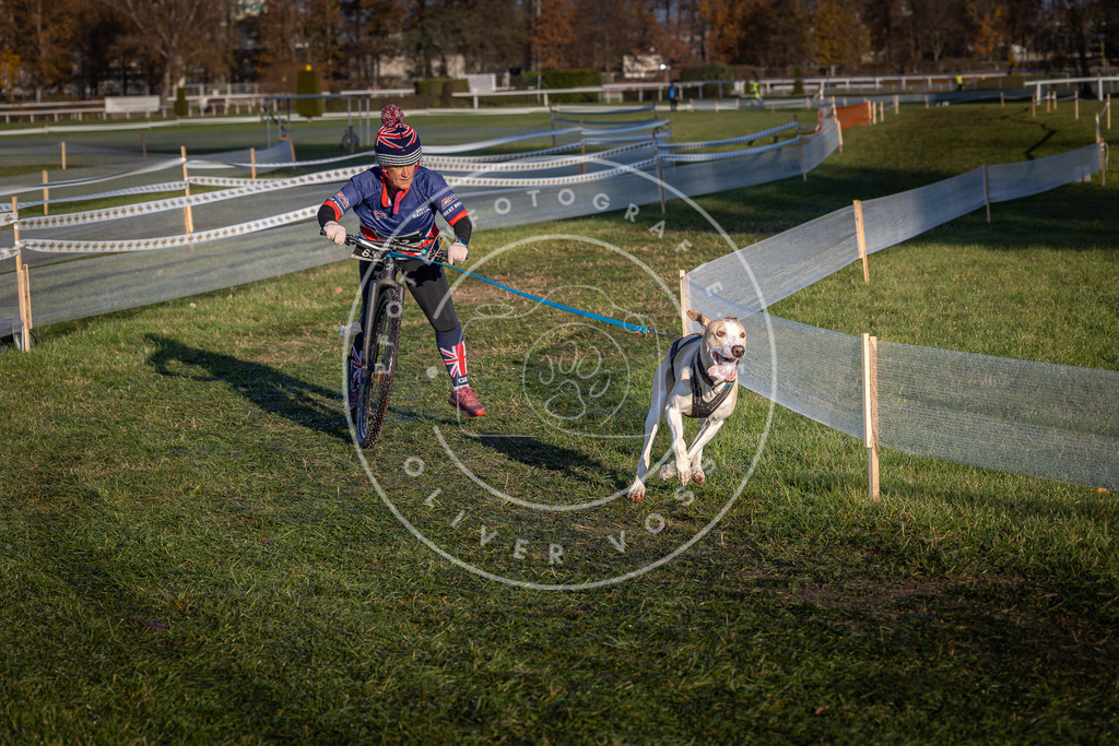 CaniXpix_0L8A3746 | Hundefotografie, Tierfotograf, Pfotenfotografie, Fotoshooting Hund, Hunde Portrait, Hundesport, Hundeportraits, Heideshooting, Hunde, Sportfotograf, Hundefotograf, Turnierhundsport, THS,  - Realisiert mit Pictrs.com