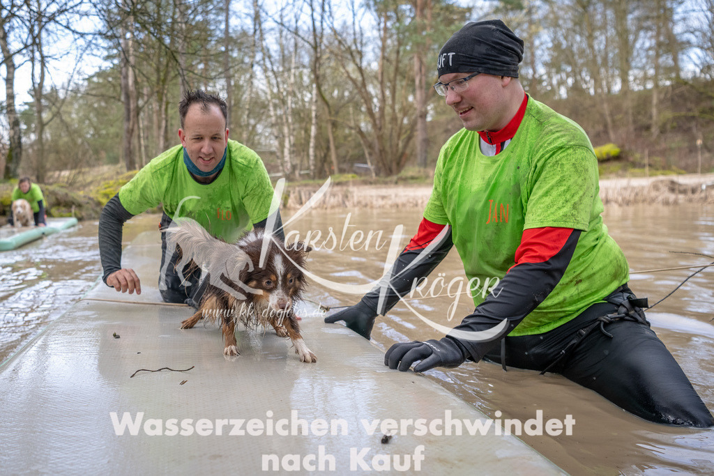 0955_ZZ91789-Bearbeitet | kk-dogfotos