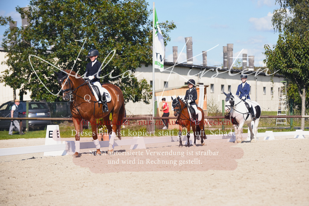 DSC_0018 | Pferde- und Turnierfotografie in Westsachsen. Pferdeportraits, Auftragszeichnungen und intuitive Kunst.