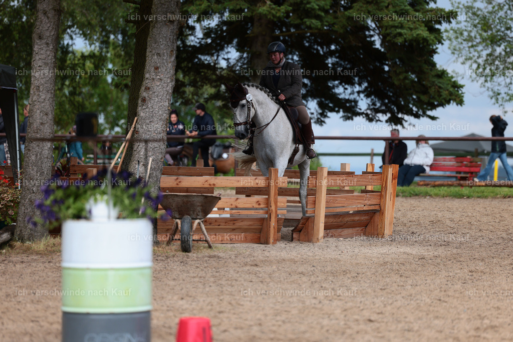 KlasseL_Stoibphotography_CAM23916.JPG | working equitationturnier fotograf videograf stoibphotography marixx film working equitation deutschland reitsport turnierfotografie eventfotografie equestrian events