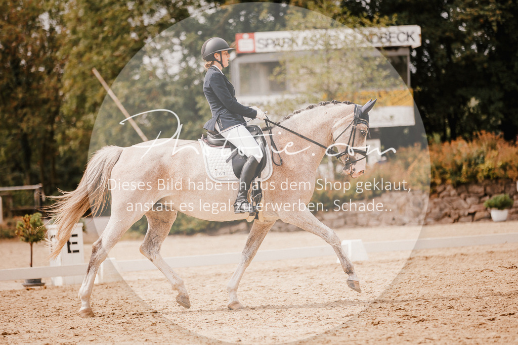 3I6A6157 | Stimmungsvolle Portraits und Reitsportfotografie im Ruhrgebiet und im Münsterland.

Pferdefotografie, Hundefotografie, Tierfotografie, Reportagen, Portraits von Tier und Mensch, Turnierfotografie in Bochum, Recklinghausen, Marl, Haltern am See, Dülmen.. - Realisiert mit Pictrs.com