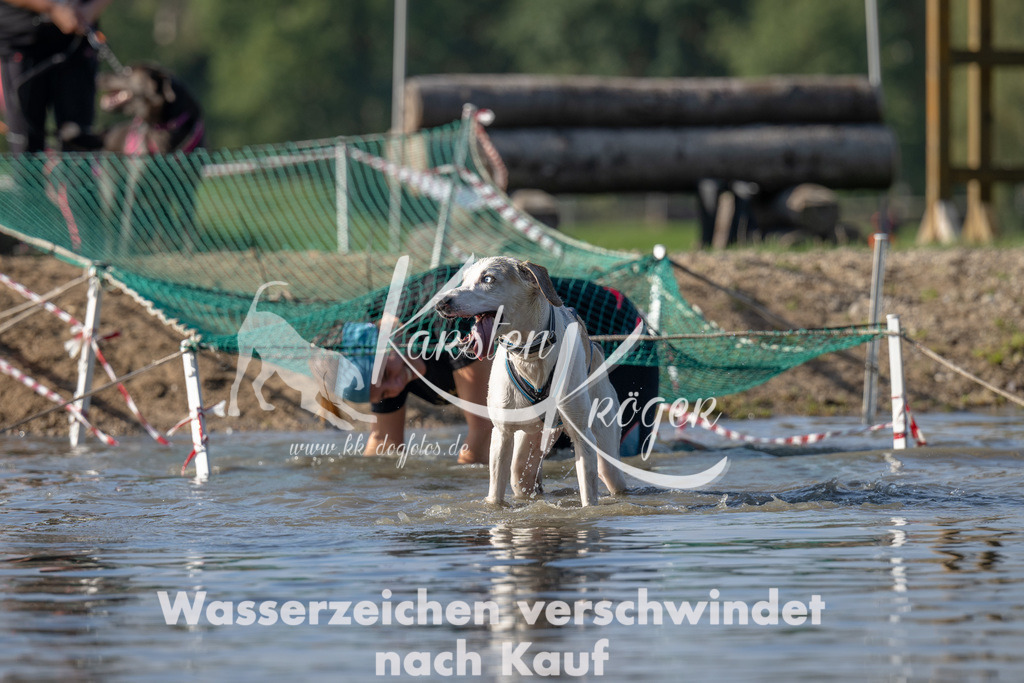 1122_ZZ92553 | kk-dogfotos