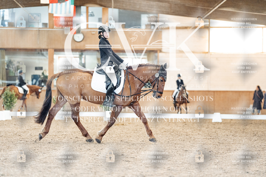 CK907748 | Turnierfotografie Pferdefotografie Trier Rheinland-Pfalz Pferdesport Reitsport Tierfotografie Sportfotografie Pferdevideo Pferdevideografie Equestrianvideography equestrianphotography  - Realisiert mit Pictrs.com