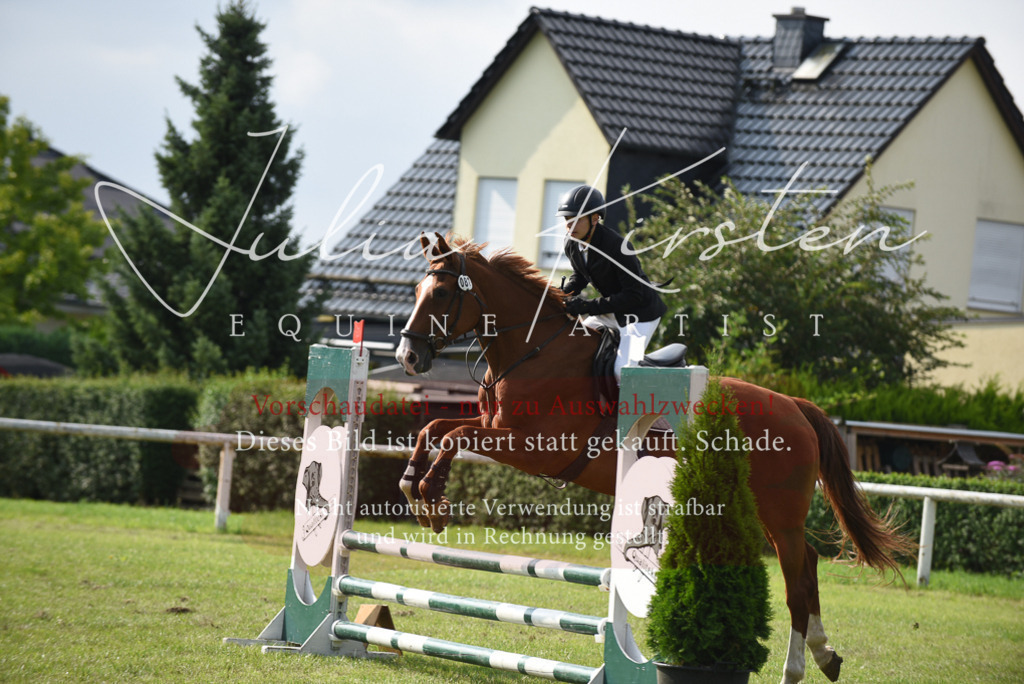 DSC_8794 | Pferde- und Turnierfotografie in Westsachsen. Pferdeportraits, Auftragszeichnungen und intuitive Kunst.