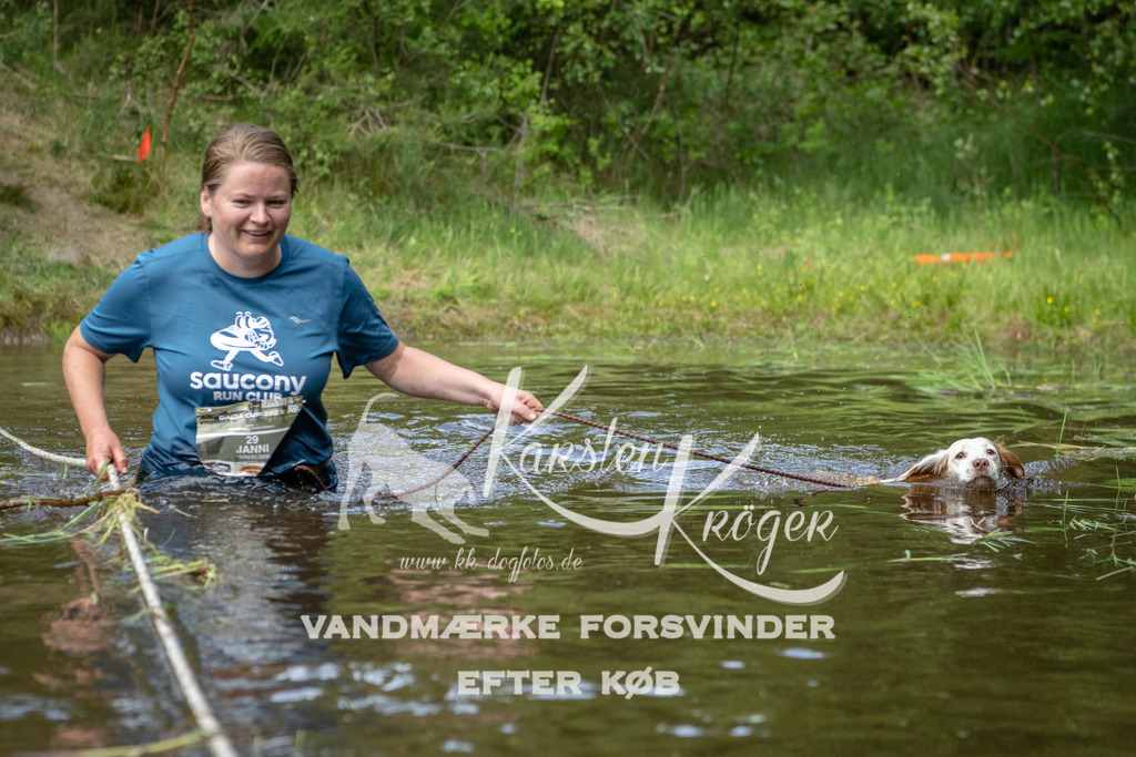 1243DKK993380 | kk-dogfotos