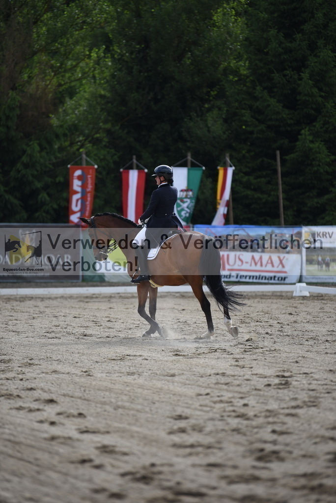 DSC_5552 | equestrian-live-com