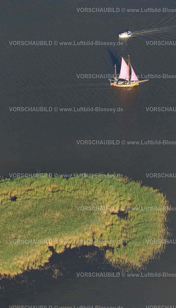 Zingst12082563 | Plattbodenschiff, Segelschiff im Barther Bodden, Insel Großer Kirr, Barther Bodden,  Zingst, Ostsee, Mecklenburg-Vorpommern, Deutschland, Europa