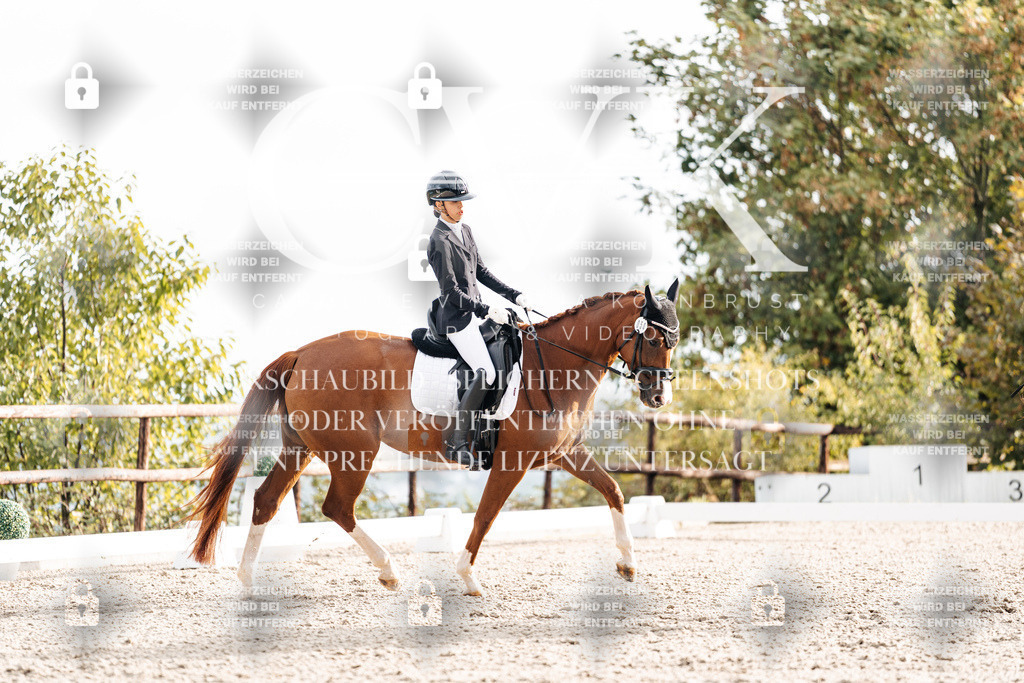 CK900641 | Turnierfotografie Pferdefotografie Trier Rheinland-Pfalz Pferdesport Reitsport Tierfotografie Sportfotografie Pferdevideo Pferdevideografie Equestrianvideography equestrianphotography  - Realisiert mit Pictrs.com