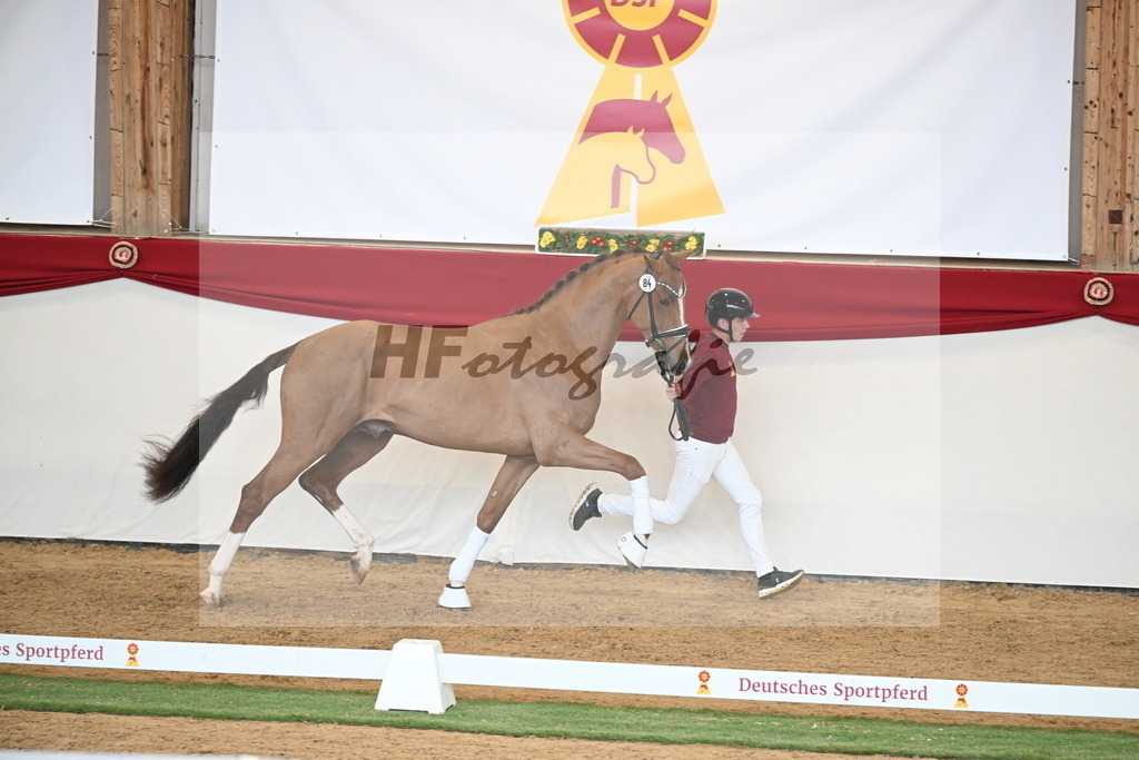 Kat.-Nr. 84 v. Vaderland_van den Oetelaar_2250806 | hf-fotografie - Realizzato con Pictrs.com