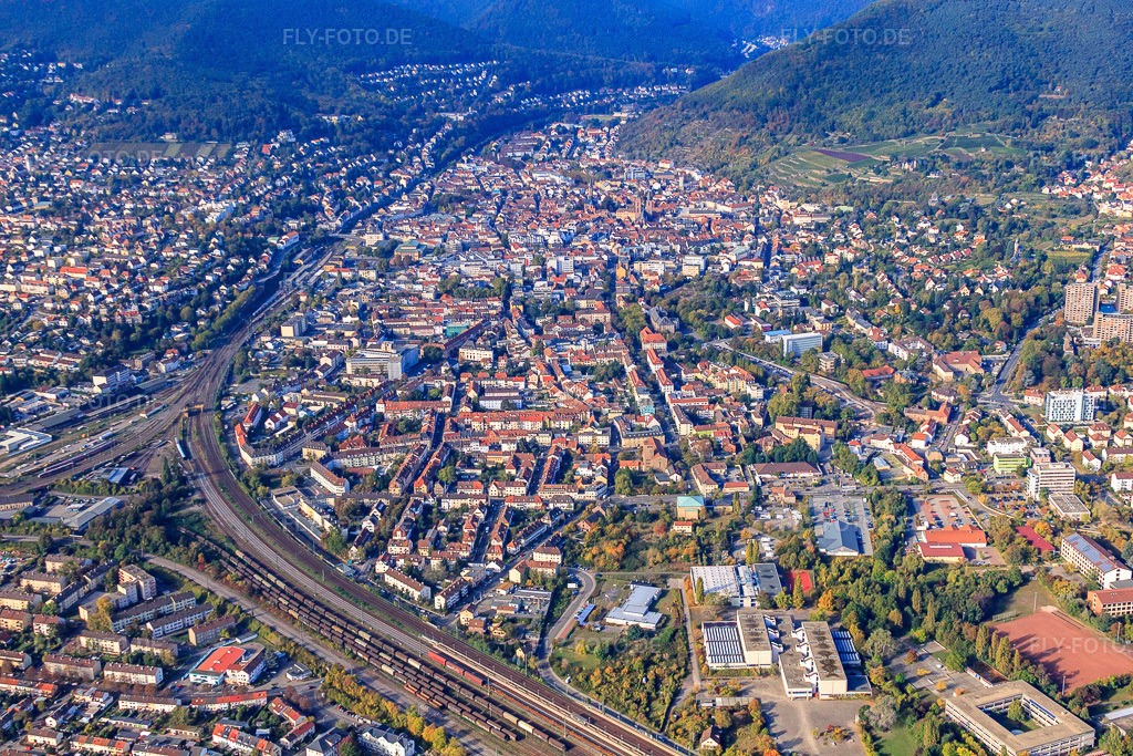 Luftbild: Ortsansicht von Nordosten in Neustadt an der Weinstraße im Bundesland Rheinland-Pfalz in Deutschland. Foto: IMG_22069.jpg vom 15.10.2009 durch Werner Riehm/FLY-FOTO.de