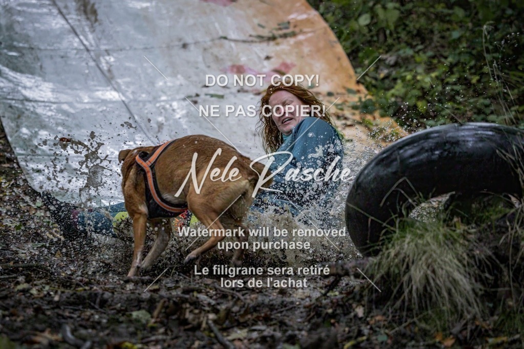 nelerasche_Hunsrück_Sa0800-0900_311-final | nelerasche