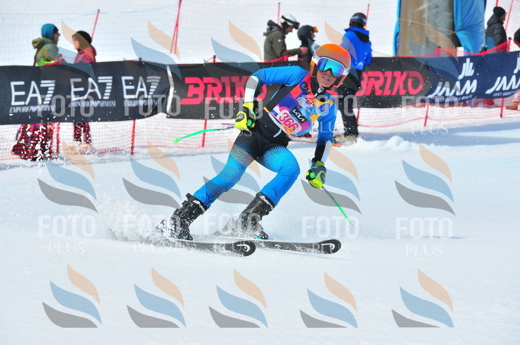 DSC_7094 | holidayphoto