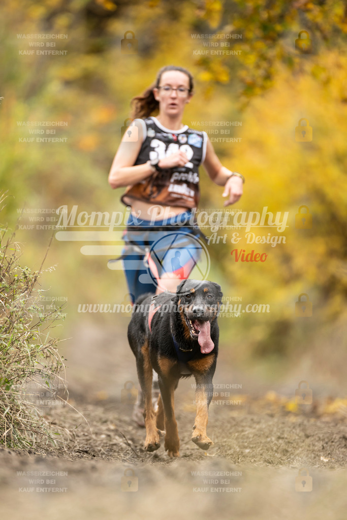 MompixPhotography_ICF_WC_2024_SA_Run_-235 | PayLife