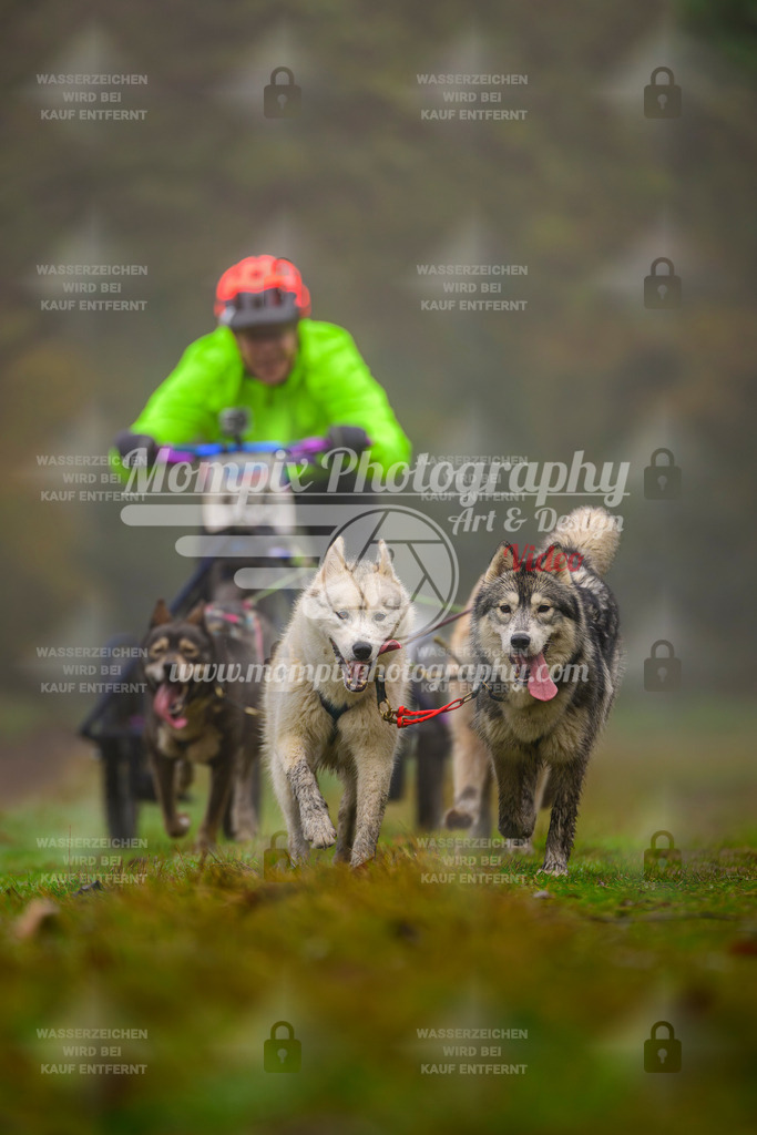 MompixPhotography_Bischwiller2025_Kart-30 | mompixphotography