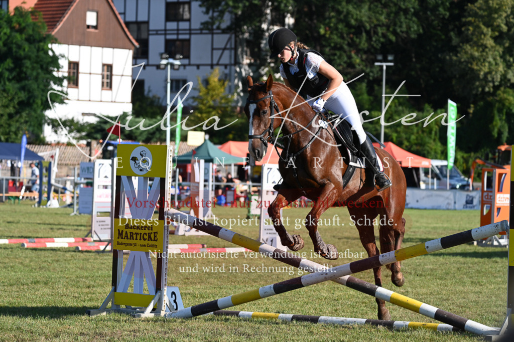 DSC_4702 | Pferde- und Turnierfotografie in Westsachsen. Pferdeportraits, Auftragszeichnungen und intuitive Kunst.