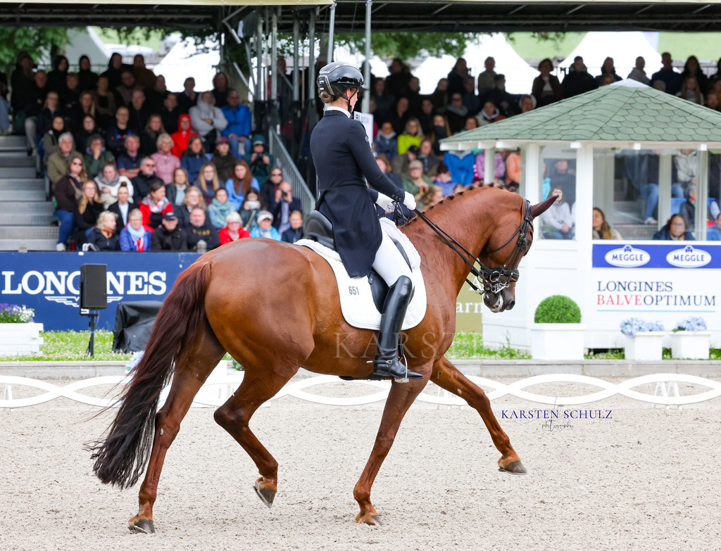 1B3A7487 | Reitsport Reiten