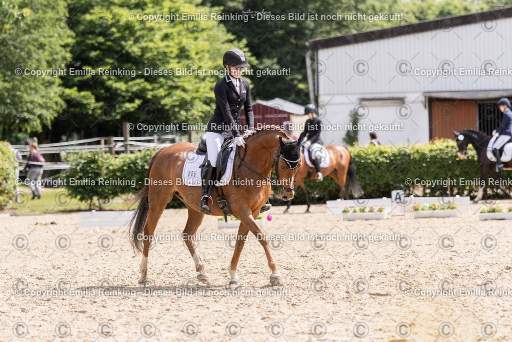 CL5A8582 | Emilia Reinking Fotografie - Realisiert mit Pictrs.com