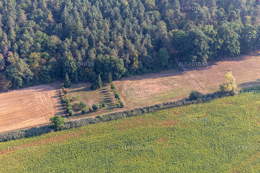 ehemaligier Modellflugplatz Hatzenbühl | Luftbild: ehemaligier Modellflugplatz Hatzenbühl in Kandel im Bundesland Rheinland-Pfalz in Deutschland. Foto: IMG_122148.jpg vom 11.08.2020 durch ©2025 Werner Riehm fly-foto.de/copyright - Realisiert mit Pictrs.com
