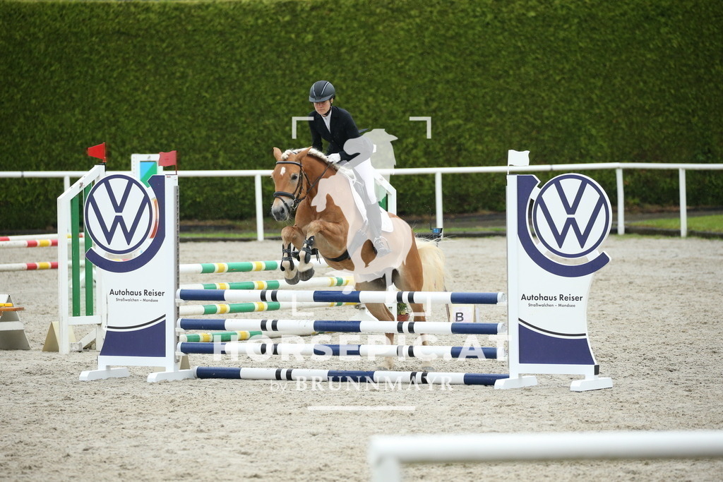 DL2Q0289 | Willkommen bei Brunnmayr - Design & Fotografie – Ihrem Spezialisten für Reitturniere und Pferdeveranstaltungen in Oberösterreich, Salzburg und Bayern! Seit über 17 Jahren sind wir leidenschaftlich dabei.