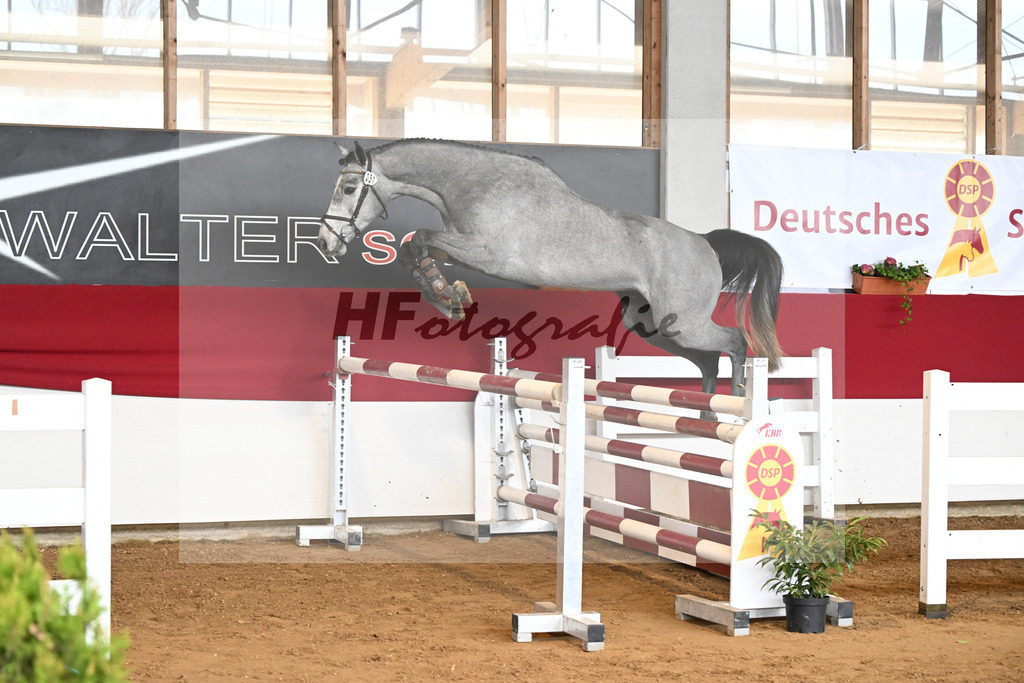 Kat-Nr. 51 Vatino W v. Vingino_Walter_7251028 | hf-fotografie - Realizzato con Pictrs.com