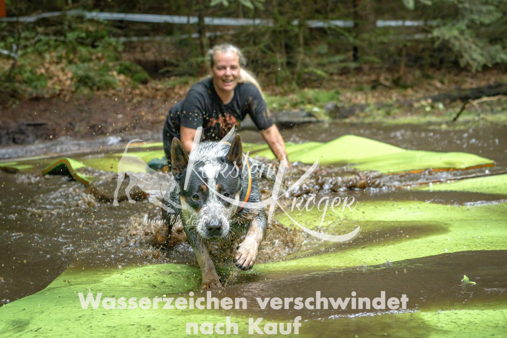 1531_ZZ91103-Bearbeitet | kk-dogfotos