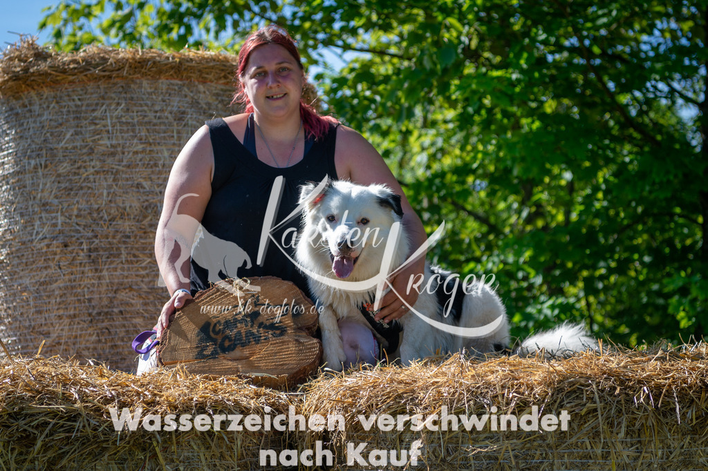 0941STR_5337 | kk-dogfotos