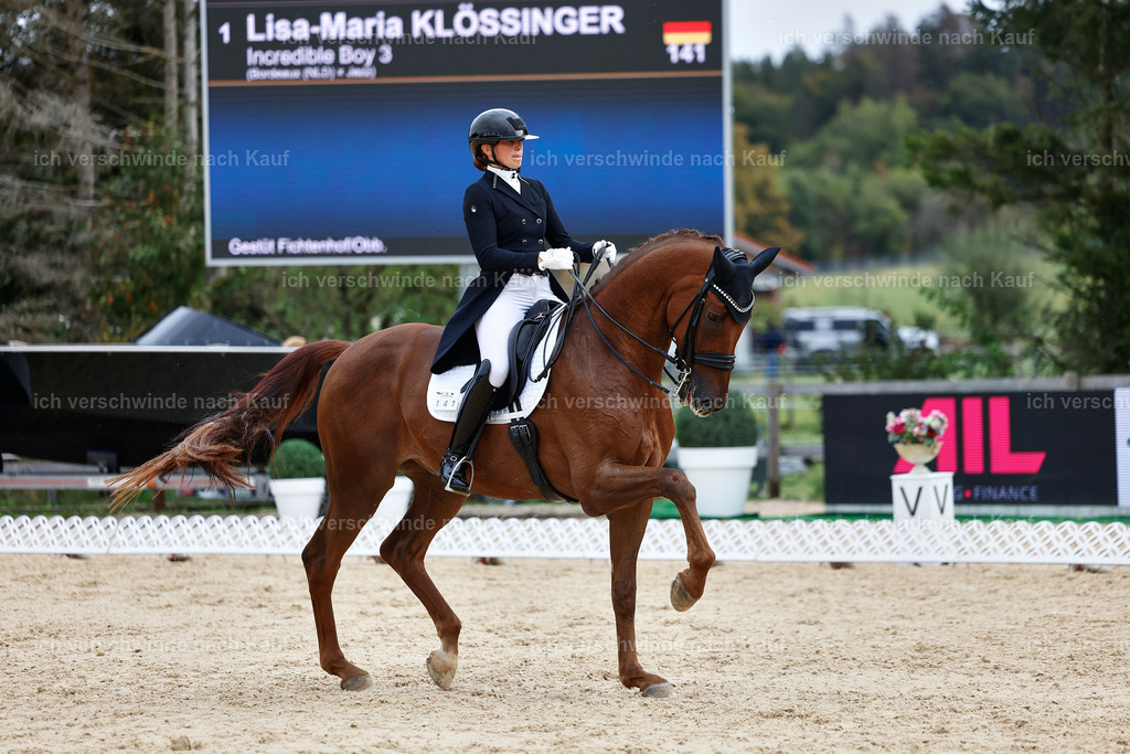 11-141-Dressur S___-Marixx-1854 | working equitationturnier fotograf videograf stoibphotography marixx film working equitation deutschland reitsport turnierfotografie eventfotografie equestrian events