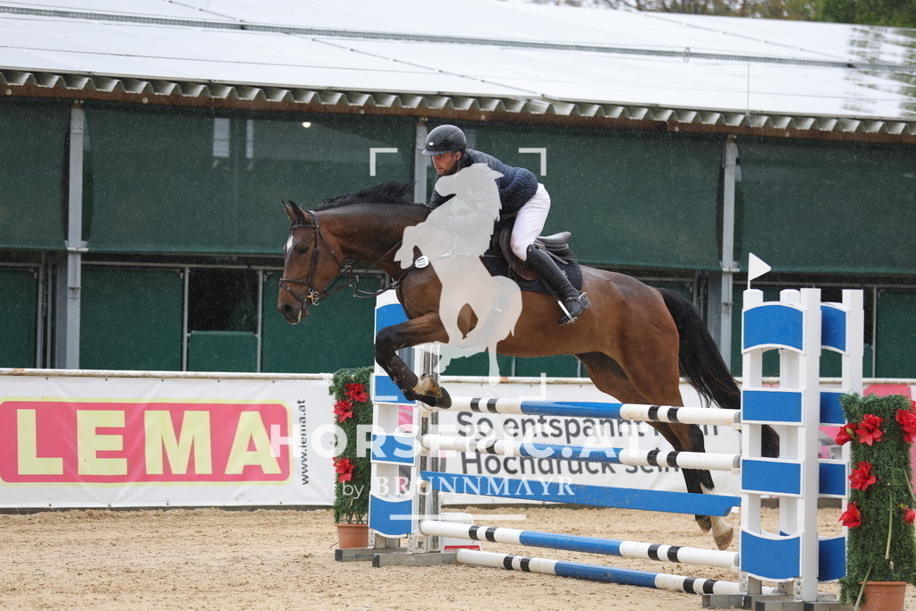 0P6A2138 | Willkommen bei Brunnmayr - Design & Fotografie – Ihrem Spezialisten für Reitturniere und Pferdeveranstaltungen in Oberösterreich, Salzburg und Bayern! Seit über 17 Jahren sind wir leidenschaftlich dabei.