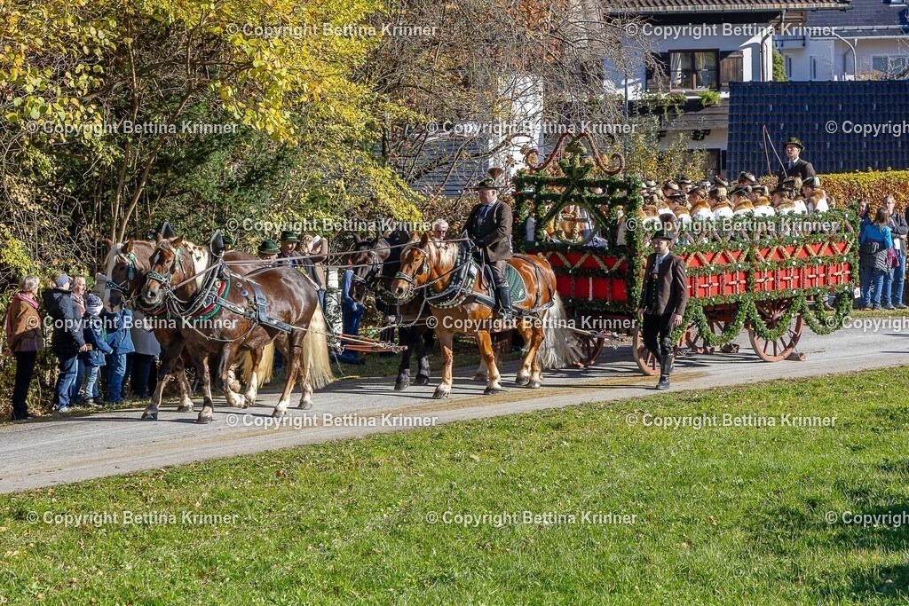 LBT25-726 | foto-bettina-krinner - Realisiert mit Pictrs.com