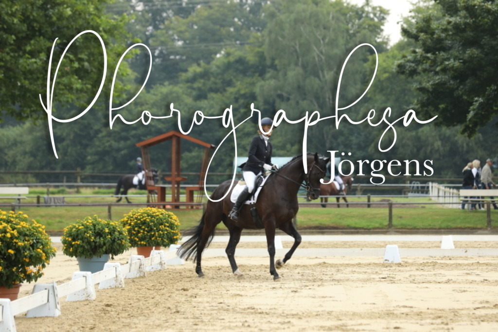 IMG_5440 | photographesa-joergens - Realisiert mit Pictrs.com