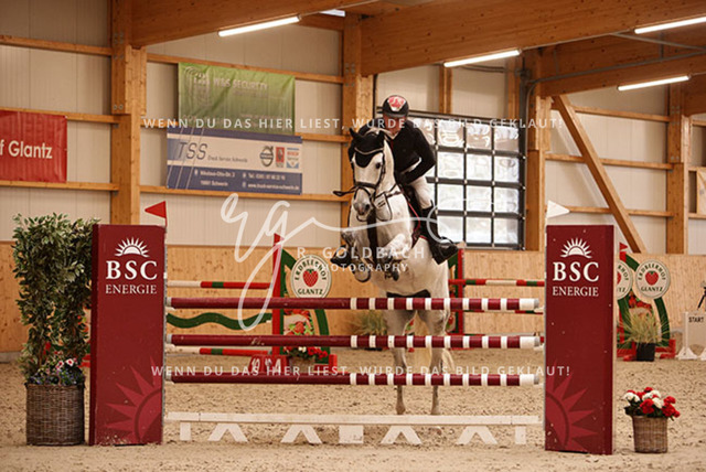 1J2A9862paul wiktor_ kn049_ hohen wieschendorf_ glantz | Foto- und Videografie für alles rund ums Pferd. Hochwertige Bilder und Videos vom Spring- und Dressurreiten, Voltigieren & mehr. Jetzt aktuelle Veranstaltungen und Preise im Shop ansehen. - Realisiert mit Pictrs.com