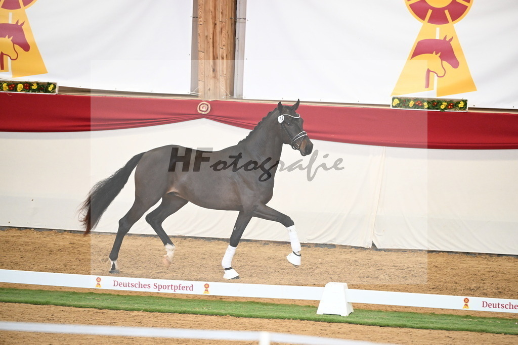 Kat.-Nr. 66 v. Fürstenball_Höchsmann_2250476 | hf-fotografie - Realisiert mit Pictrs.com