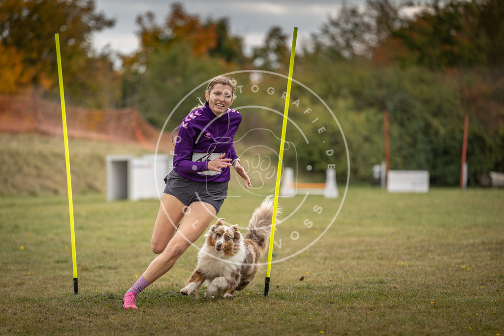 Pfotenfotografie_DV3A7663 | Hundefotografie, Tierfotograf, Pfotenfotografie, Fotoshooting Hund, Hunde Portrait, Hundesport, Hundeportraits, Heideshooting, Hunde, Sportfotograf, Hundefotograf, Turnierhundsport, THS,  - Realisiert mit Pictrs.com