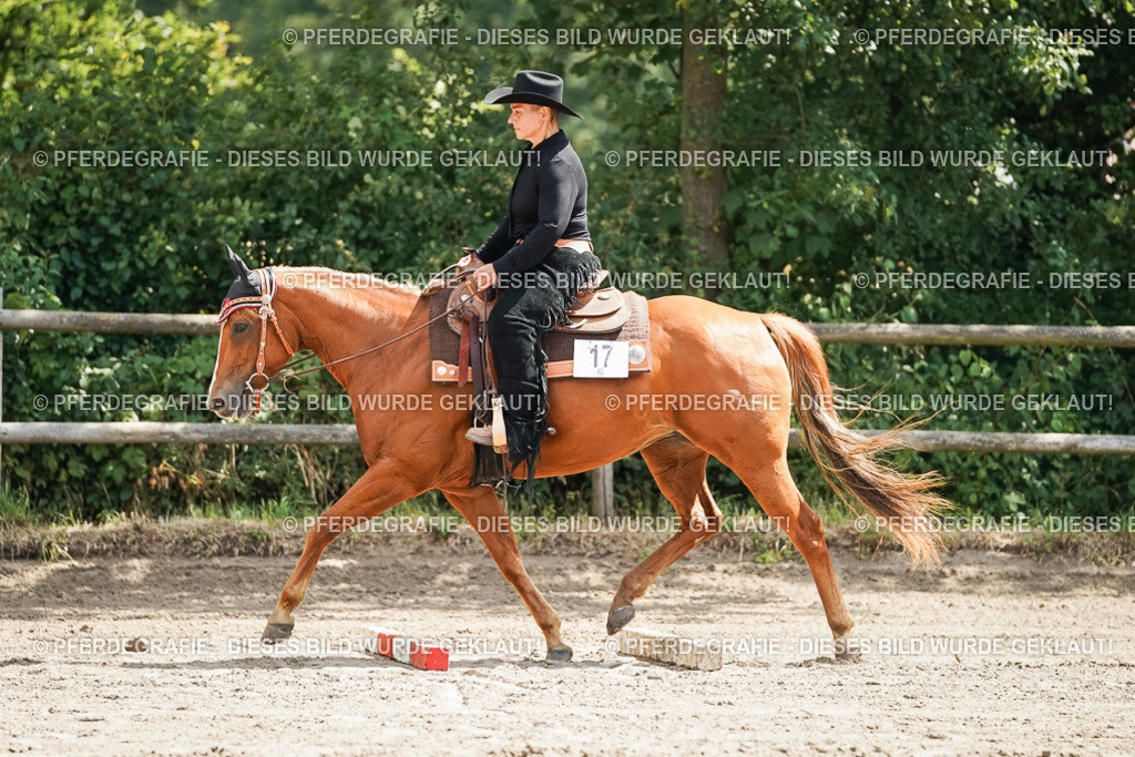 DSC06076 | Pferdegrafie