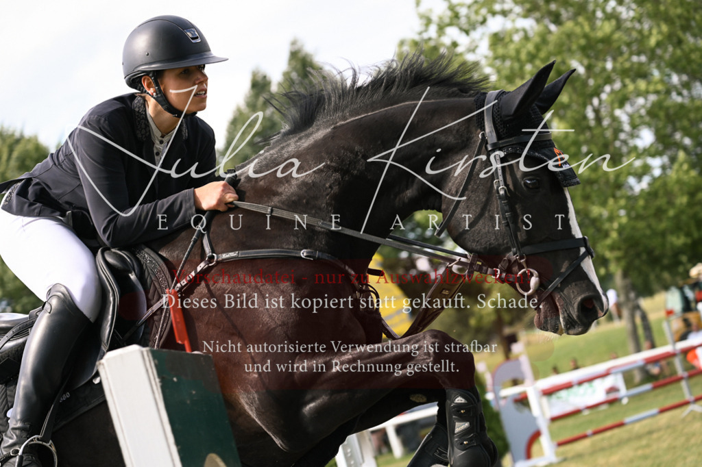 DSC_0830 | Pferde- und Turnierfotografie in Westsachsen. Pferdeportraits, Auftragszeichnungen und intuitive Kunst.