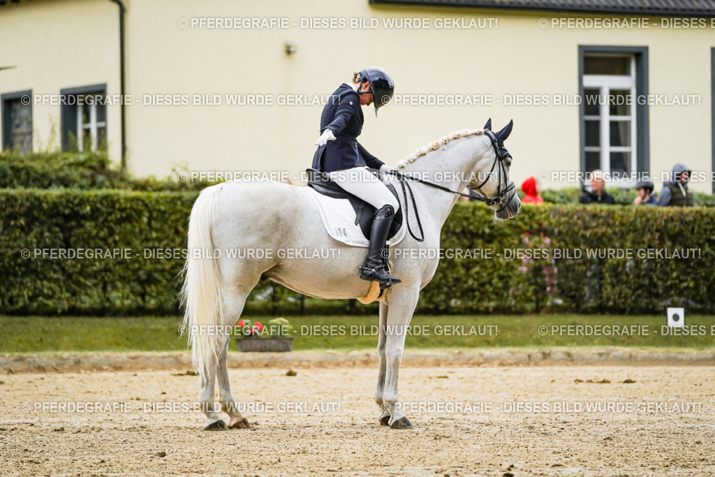 DSC06659 | Pferdegrafie