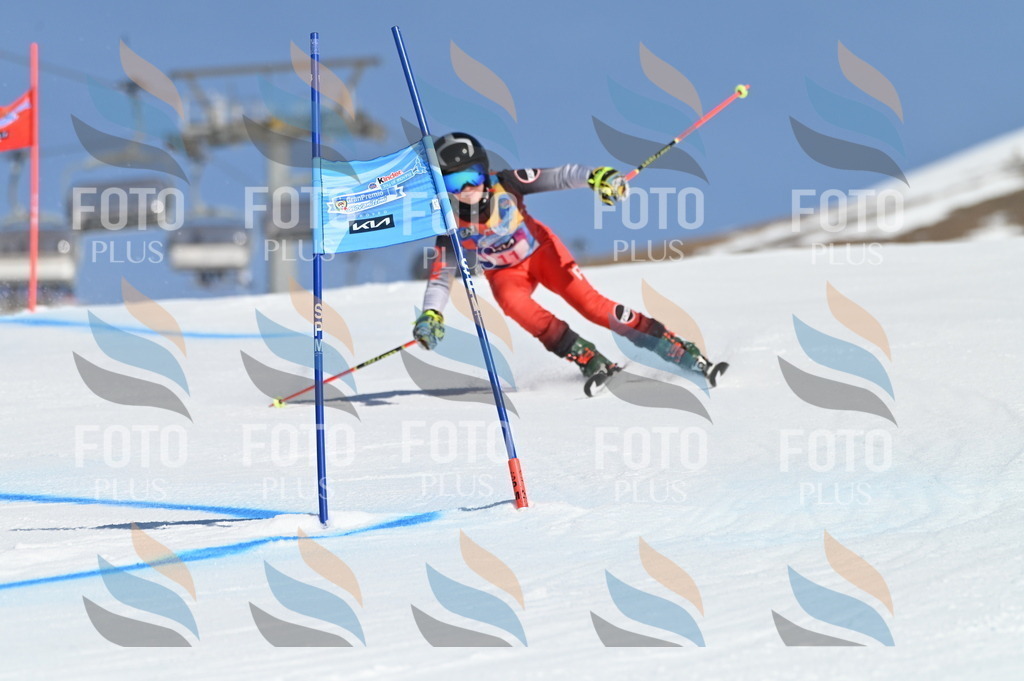 BGV_7773 | holidayphoto