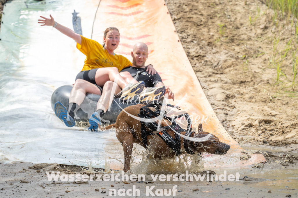 1221_ZZ98041 | kk-dogfotos