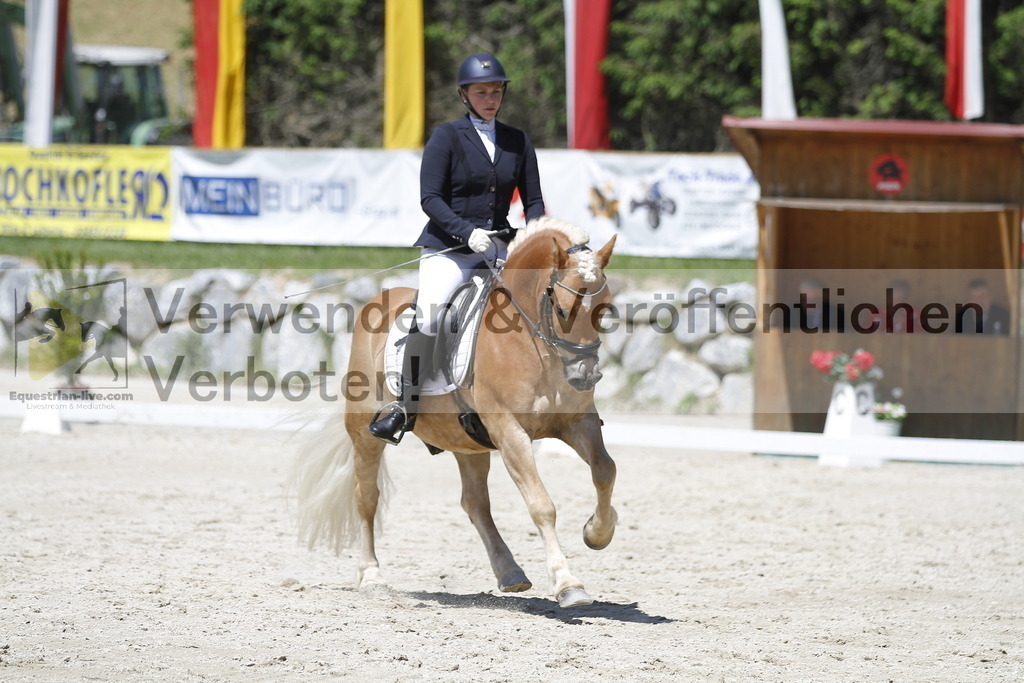 _MG_5251 | equestrian-live-com