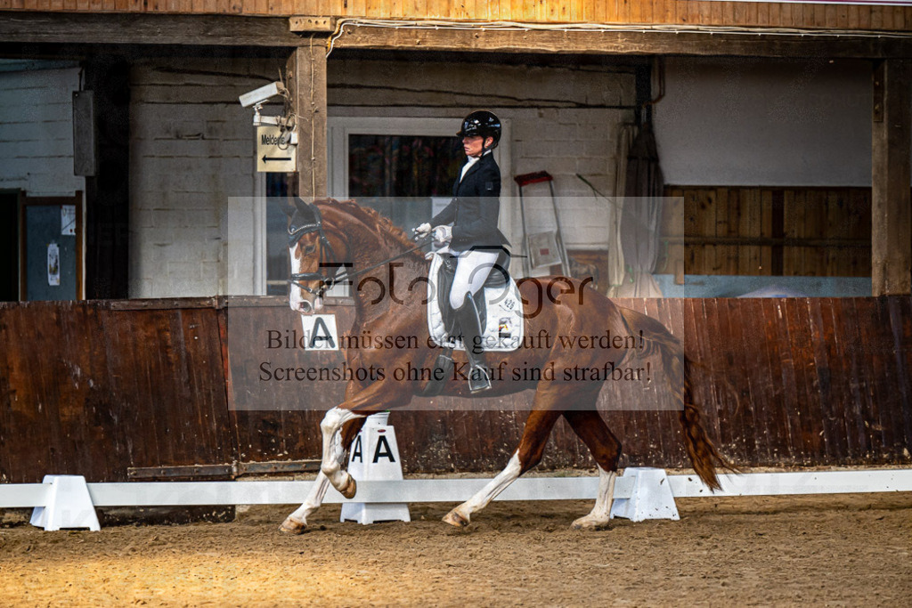 20240308-DOS_4351 | Entdecke hochwertige Reitturnierfotos von Foto Oger. Professionell, emotional und authentisch – jetzt Lieblingsmomente im Shop bestellen.Deutschlandweite Turnierfotografie. - Realisiert mit Pictrs.com