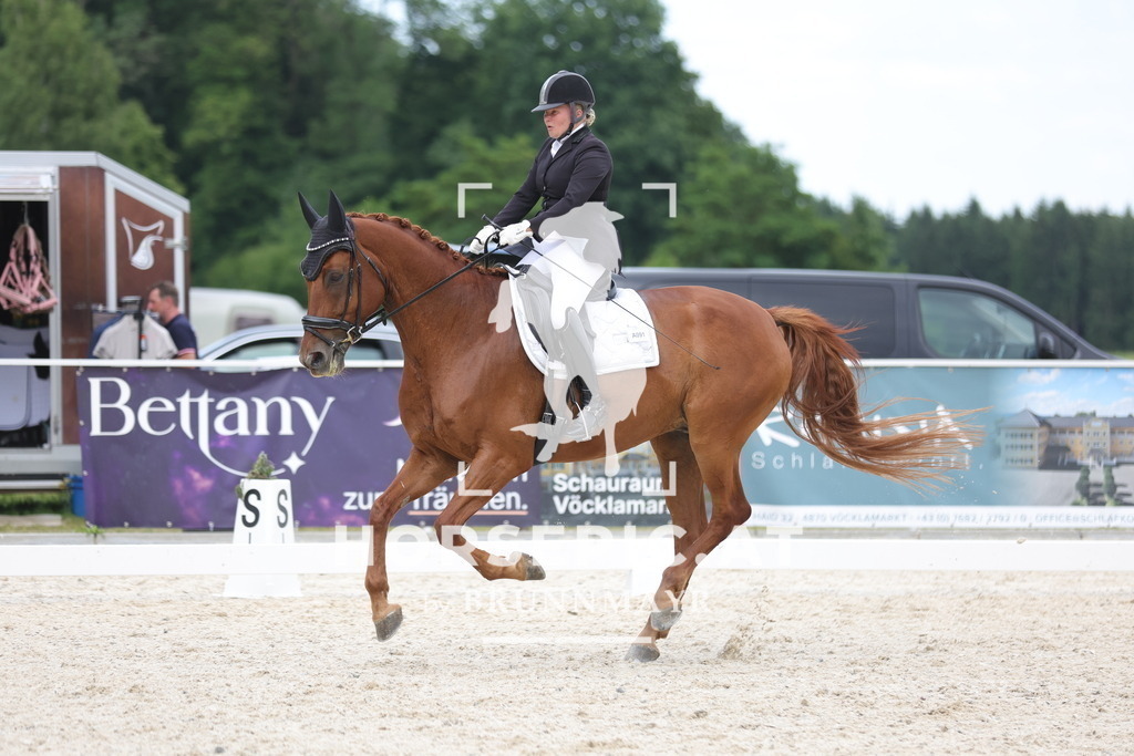 0P6A7104 | Willkommen bei Brunnmayr - Design & Fotografie – Ihrem Spezialisten für Reitturniere und Pferdeveranstaltungen in Oberösterreich, Salzburg und Bayern! Seit über 17 Jahren sind wir leidenschaftlich dabei.