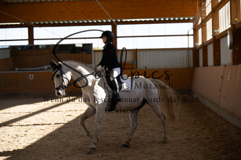 A7V01964 | Pferdefotograf