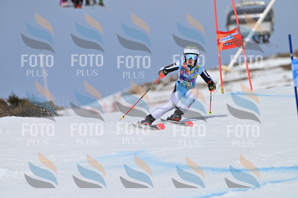 BGV_5848 | holidayphoto