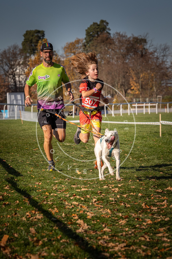CaniXpix_0L8A6746 | Hundefotografie, Tierfotograf, Pfotenfotografie, Fotoshooting Hund, Hunde Portrait, Hundesport, Hundeportraits, Heideshooting, Hunde, Sportfotograf, Hundefotograf, Turnierhundsport, THS,  - Realisiert mit Pictrs.com