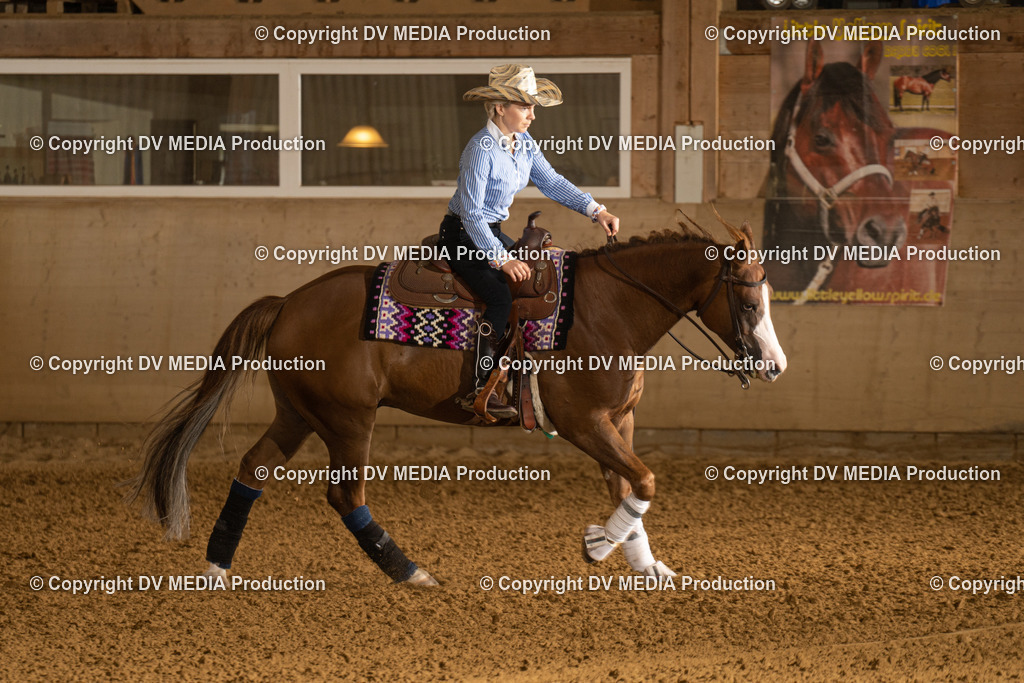 LAU00633 | dv-media-shop - Realisiert mit Pictrs.com