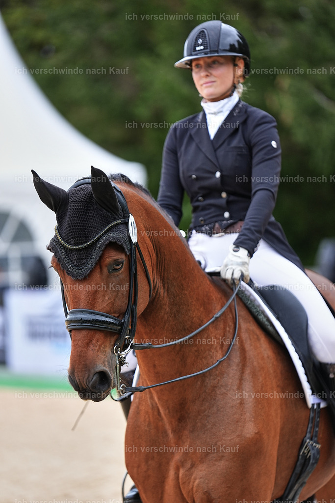11-189-Dressur S___-Marixx-1775 | working equitationturnier fotograf videograf stoibphotography marixx film working equitation deutschland reitsport turnierfotografie eventfotografie equestrian events