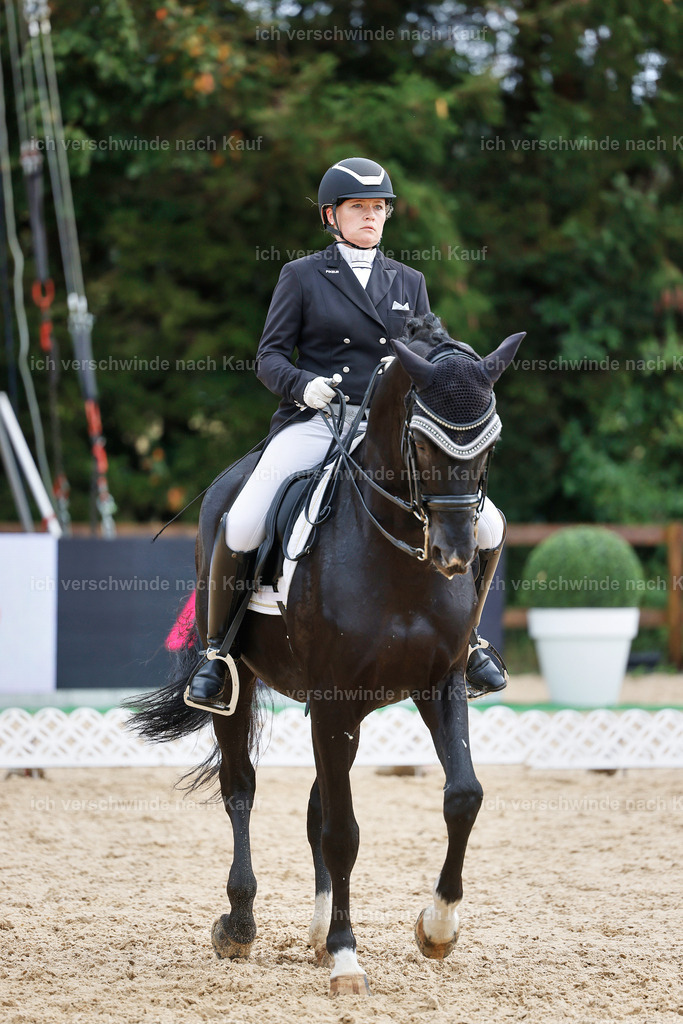 07-093-DRESSUR  S___  -StoibPH-5027 | working equitationturnier fotograf videograf stoibphotography marixx film working equitation deutschland reitsport turnierfotografie eventfotografie equestrian events
