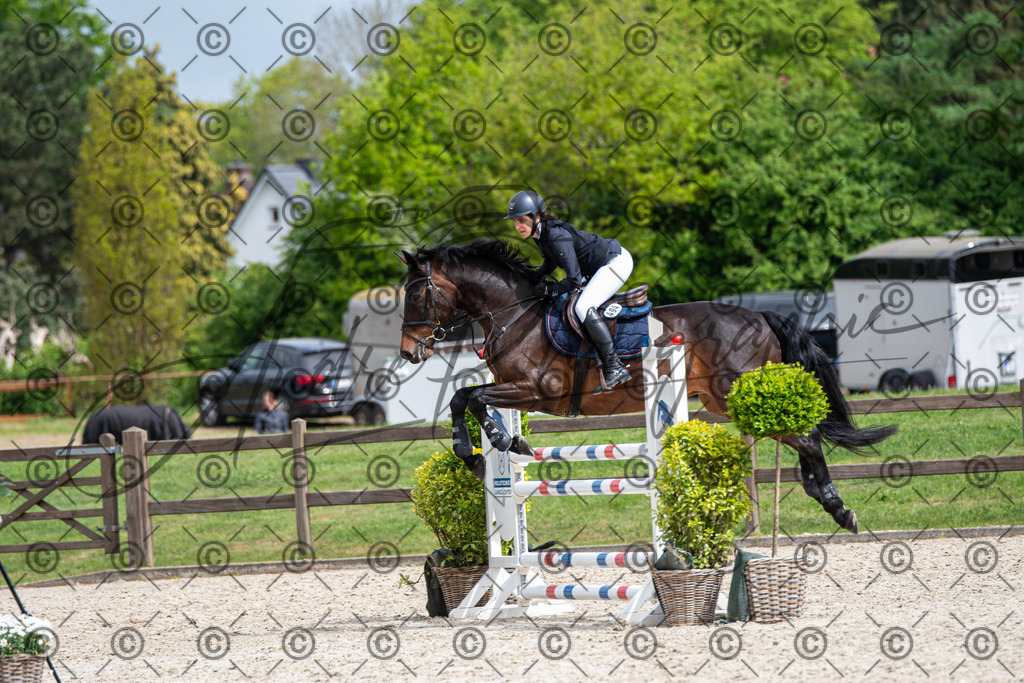 KPT_8909 | andre_photographic